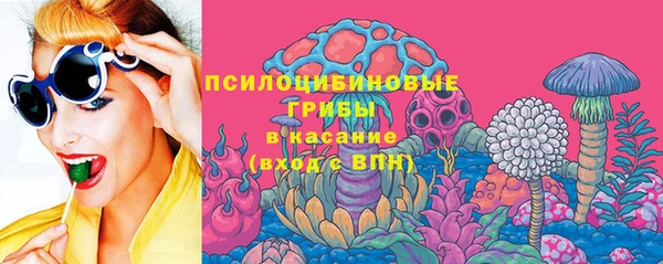 спиды Арсеньев