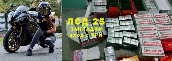 не бодяженный Аркадак