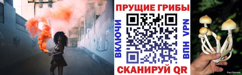 Псилоцибиновые грибы мухоморы  Старица 